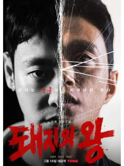 老子影院 怦然心动 经典浪漫片 双人观影